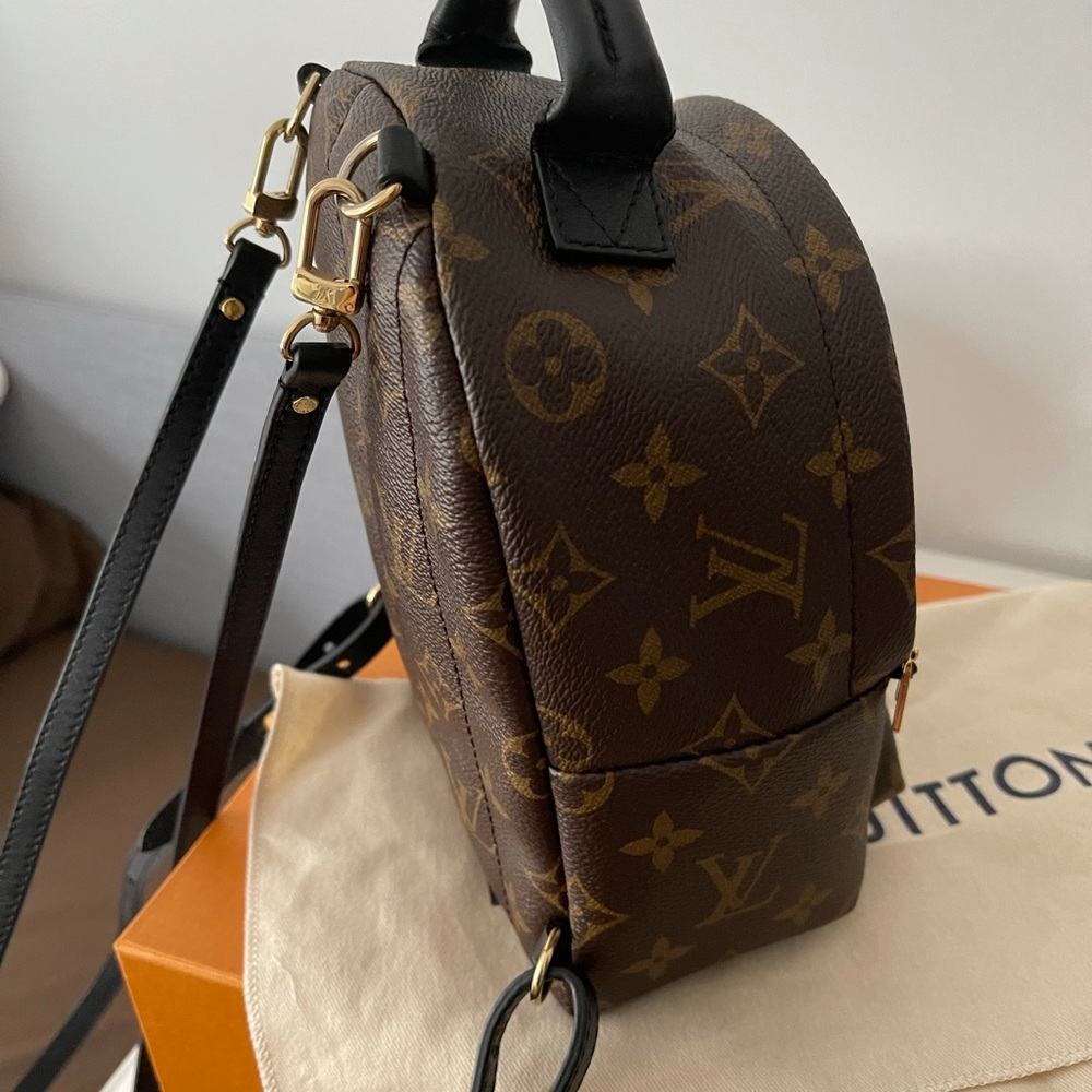 LV Palm Spring Mini Backpack - Picture 5 of 9